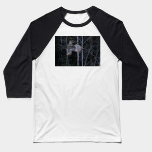 Hover - Great Grey Owl Baseball T-Shirt